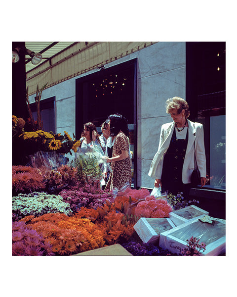 Goodbye California Portfolio