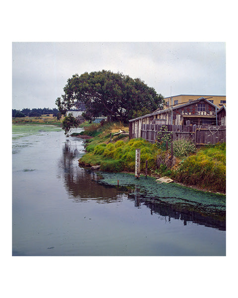 Goodbye California Portfolio