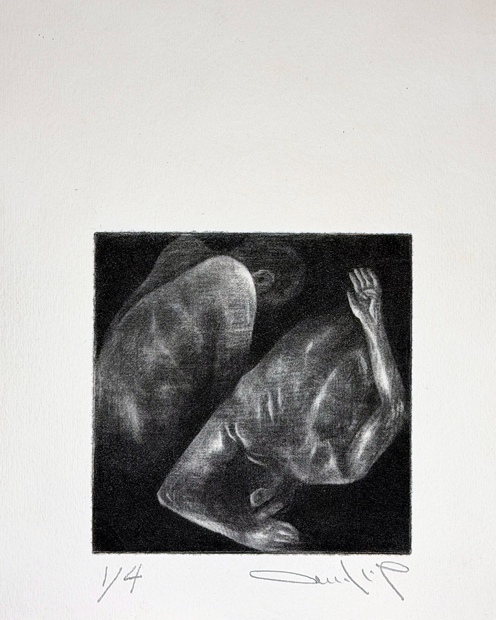 Untitled - Salah Missi - 1/4